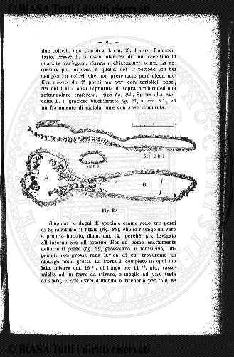 n. 1 (1913-1914) - Frontespizio