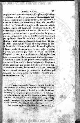 v. 19, n. 49 (1792-1793) - Pagina: 429