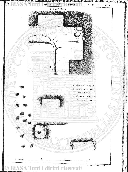 s. 3, n. 5 (1893) - Pagina: 65