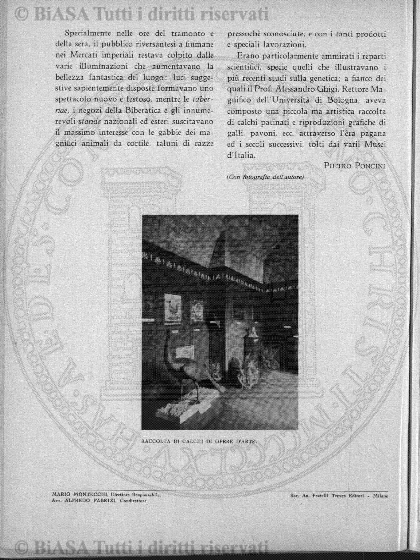 v. 1, n. 7 (1872) - Pagina: 185