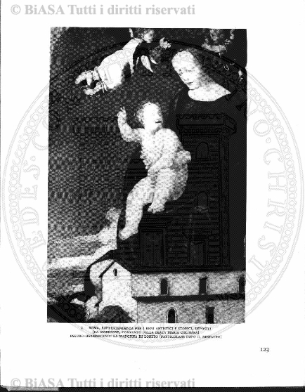 n. 14 (1890-1891) - Pagina: 117