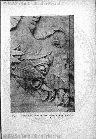 n. 38 (1899) - Frontespizio