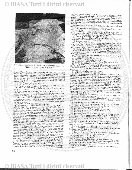 n. 6 (1933) - Pagina: 117