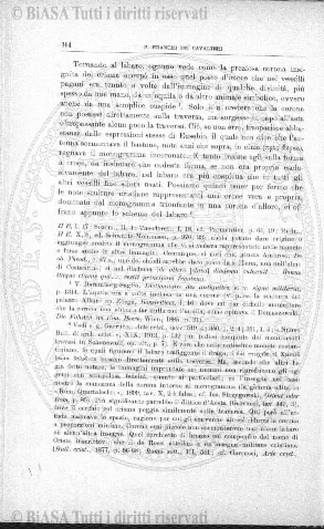 n.s., n. 3 (1852-1853) - Pagina: 17