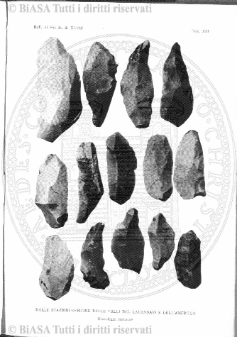 n.s., n. 65 (1854-1855) - Pagina: 113