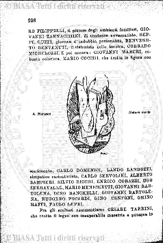 s. 2, n. 3 (1890-1891) - Pagina: 49