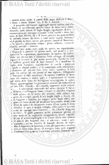 n. 40 (1884) - Pagina: 313 e sommario