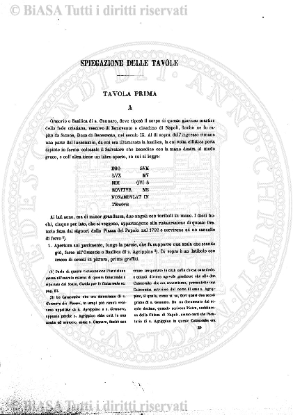 n. 5 (1917) - Copertina: 1