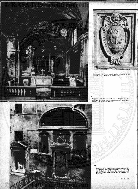 n. 11 (1913-1914) - Pagina: 125
