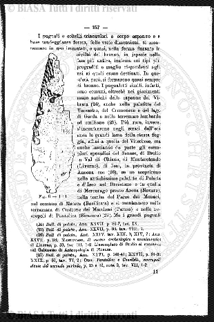n. 11 (1925) - Pagina: 1