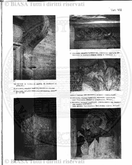 n. 11 (1907) - Pagina: 665