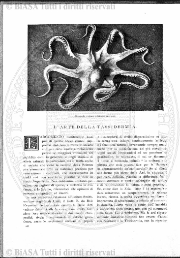 n. 8 (1842-1843) - Pagina: 57