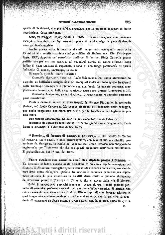 v. 4, n. 7 (1875) - Pagina: 193