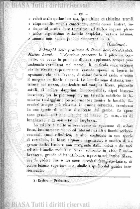 n. 42 (1837) - Pagina: 165