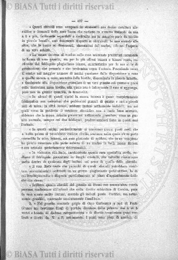 s. 8, v. 23, n. 1 (1979) - Copertina: 1