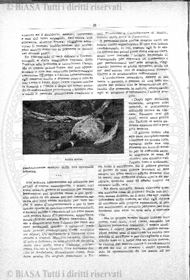 n. 18 (1923) - Copertina: 1