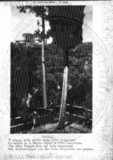 n. 26 (1884) - Pagina: 201 e sommario