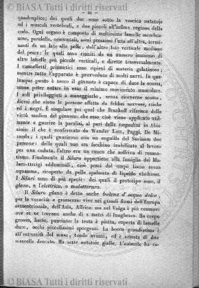 n. 5 (1922-1923) - Copertina: 1