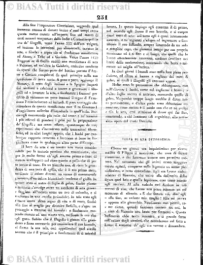 s. 5, n. 6 (1889) - Sommario: p. 81