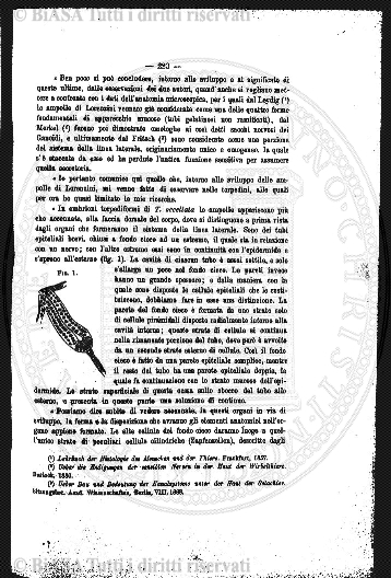 s. 4, n. 5 (1909) - Copertina: 1 e sommario
