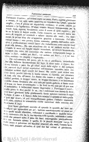 n. 19 (1889) - Pagina: 145 e sommario