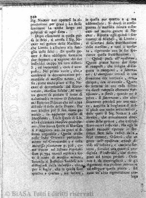 n. 13 (1785) - Pagina: 97