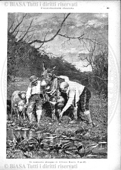 n. 1-2 (1910) - Copertina: 1 e sommario