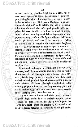 n. 35 (1903) - Frontespizio