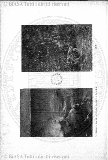 n. 3 (1875) - Pagina: 33