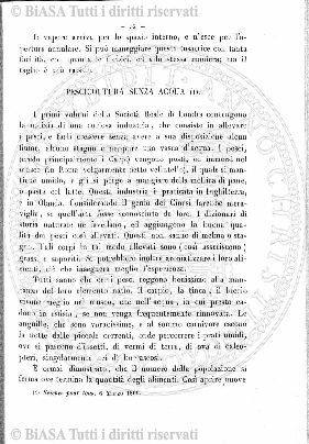 n. 11 (1911) - Copertina: 1