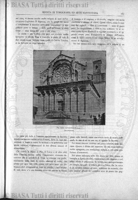 s. 5, v. 3, parte 1 (1895) - Copertina: 1