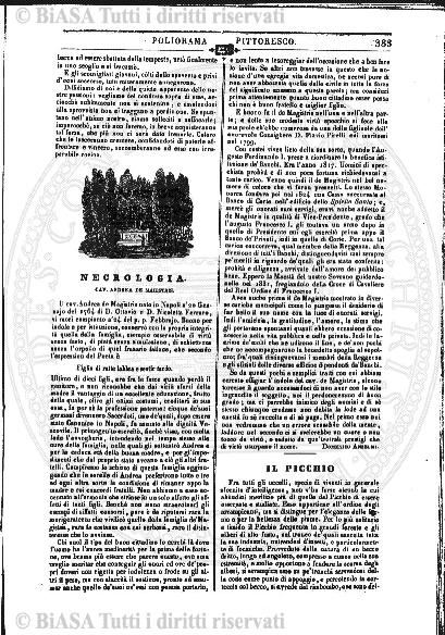 n. 21 (1915) - Copertina: 1