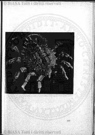 n.s., gen-mar (1897) - Copertina: 1