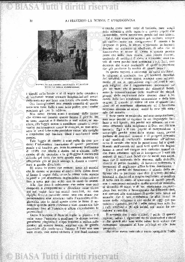 s. 5, v. 11, parte 1 (1903) - Copertina: 1