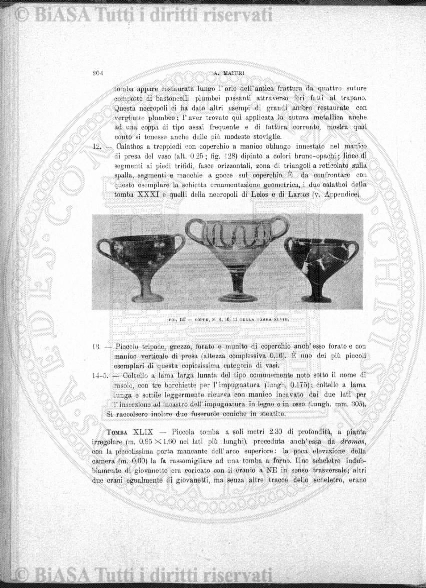 n. 3 (1928) - Pagina: 25