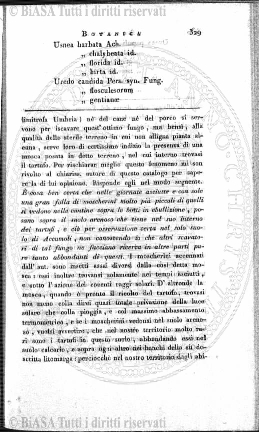v. 6, n. 32 (1910) - Tavola fuori testo