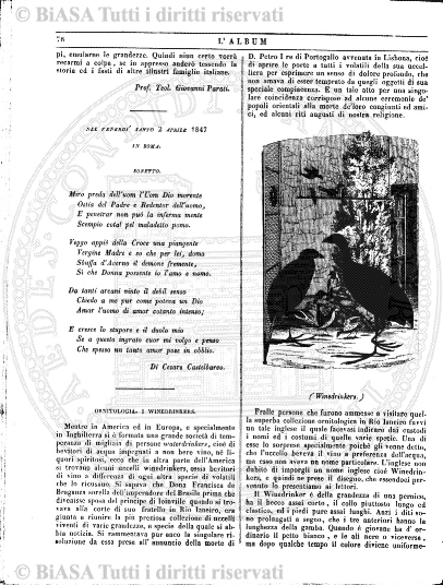 s. 2, v. 11, n. 8 (1876) - Pagina: 241