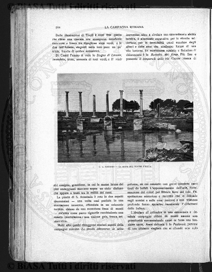 n. 14 (1786) - Pagina: 105