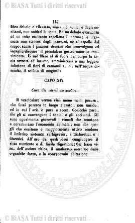 s. 3, n. 8 (1893) - Pagina: 113