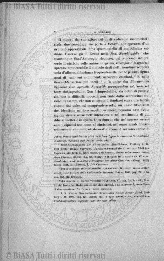 v. 8, n. 44 (1843-1844) - Pagina: 345