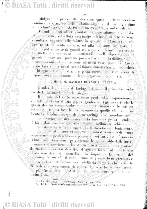 Indice topografico (1891) - Frontespizio