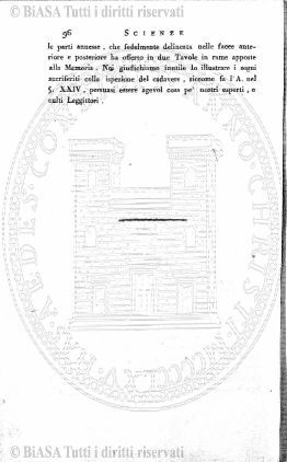 n. 7 (1929) - Pagina: 77