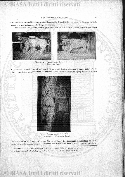 s. 2, v. 8 (1876-1877) - Tavola fuori testo
