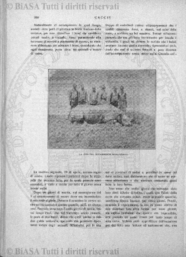 s. 3, v. 3, n. 10 (1887) - Pagina: 325