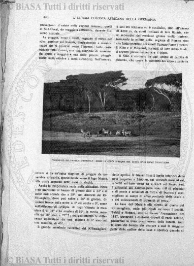 n. 3 (1921) - Pagina: 17