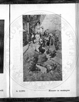s. 5, n. 3 (1889) - Sommario: p. 33