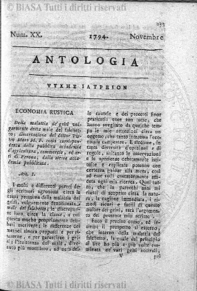 n.s., n. 53 (1854-1855) - Pagina: 17