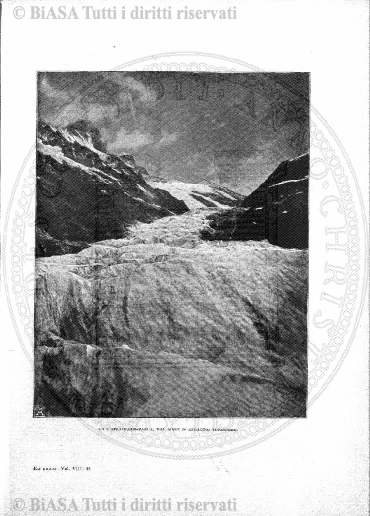 v. 27, n. 50 (1860-1861) - Pagina: 393