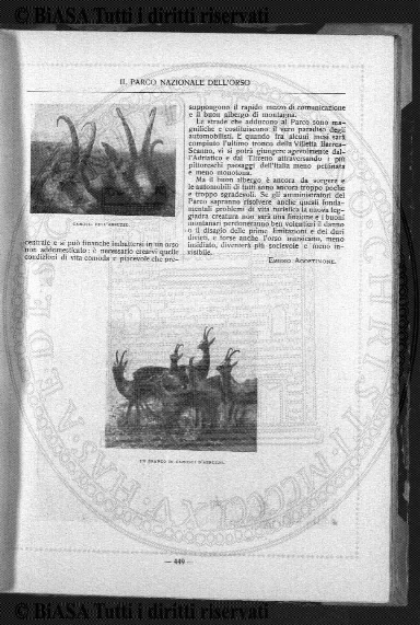 n. 1 (1886) - Occhietto