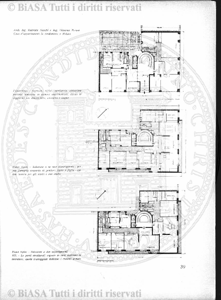 v. 10, n. 31 (1845-1846) - Pagina: 241